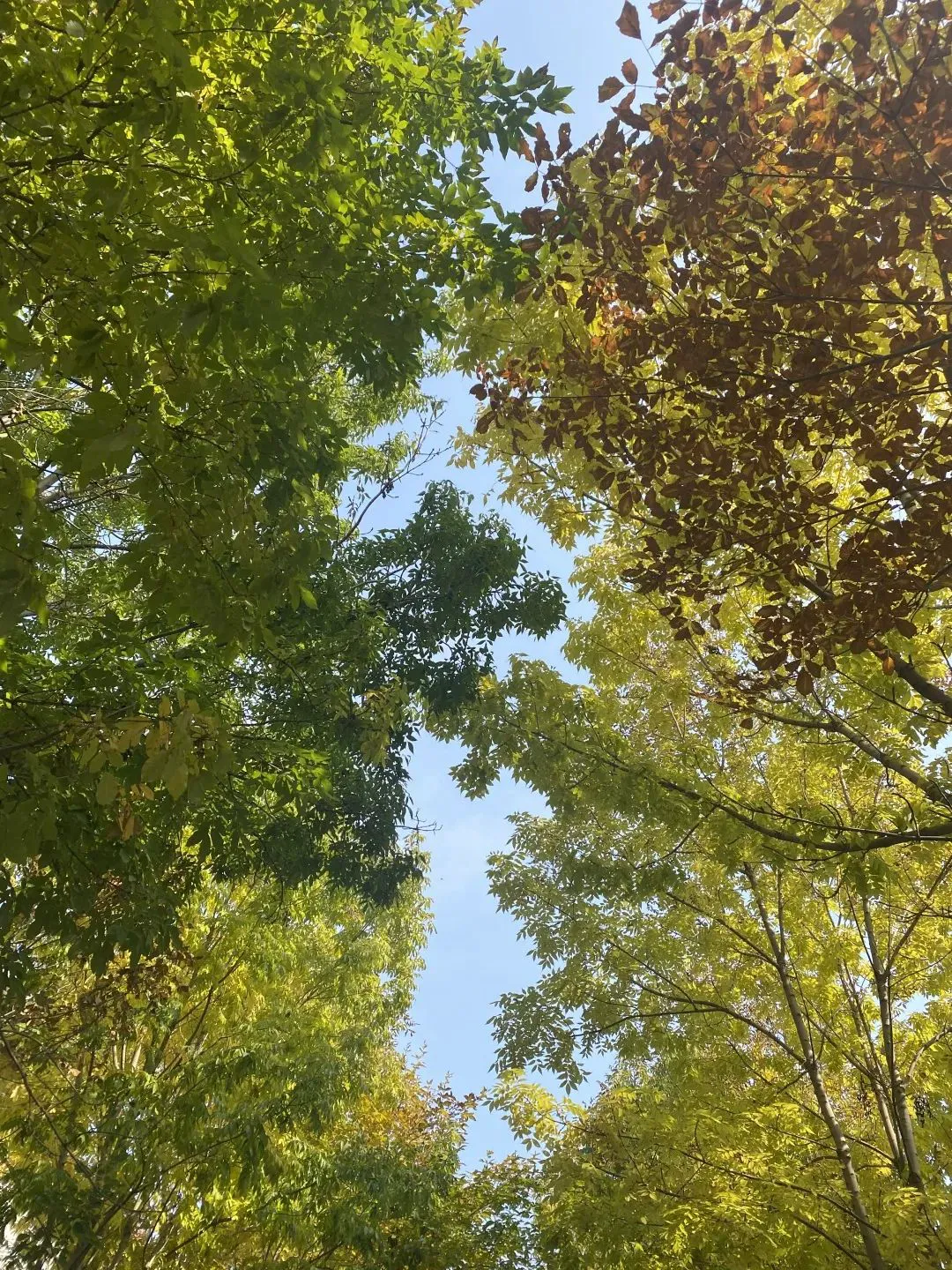 关于评价篮球训练的不足_1
